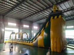 Toxic Plunge - 30ft Double Lane Slide with slip and slide