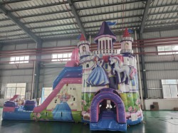 Princess Castle Combo