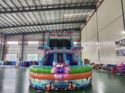 att.RvhzsXSWpnp0COUlUhW6GPiFfaZSVt8lvMowQHG5rzY 1769624622 20ft Double Lane Aloha Splash - 35ft Long